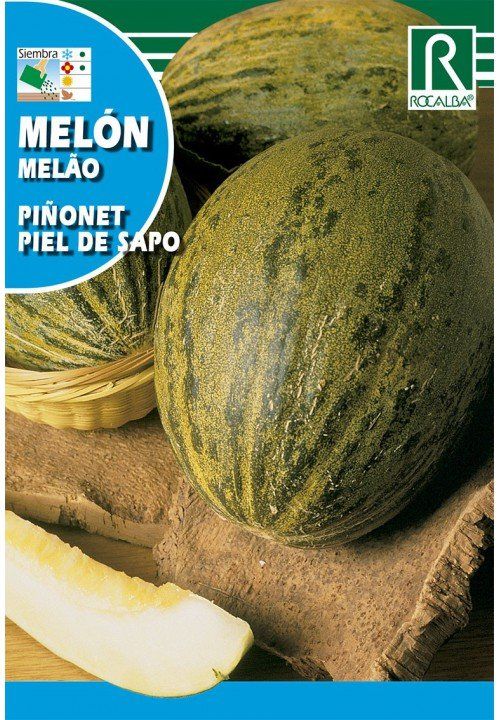 melon pinonet piel de sapo