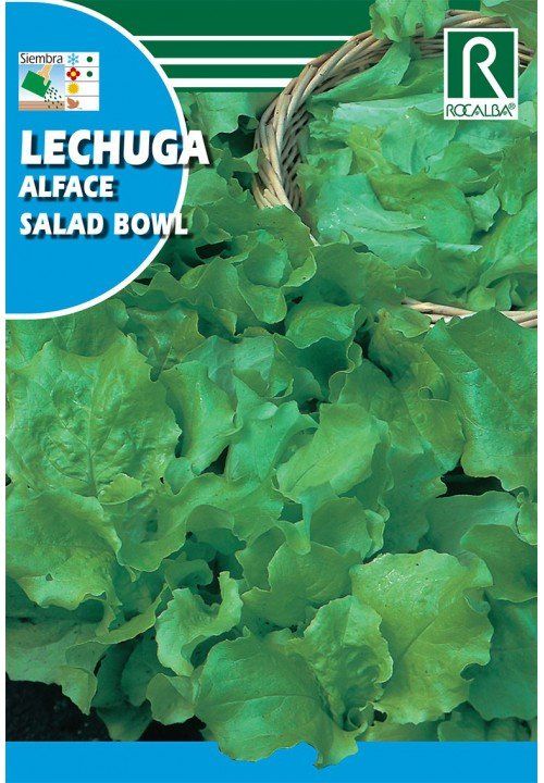 lechuga salad bowl