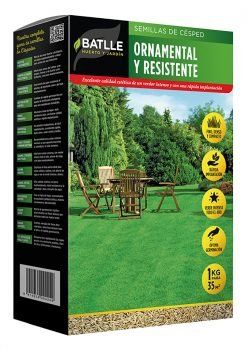 CÉSPED ORNAMENTAL Y RESISTENTE