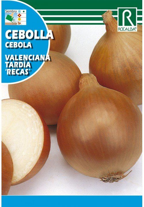 cebolla valenciana tardia recas