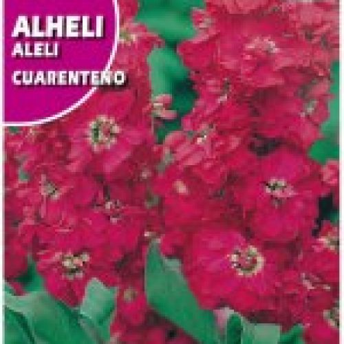 ALHELI