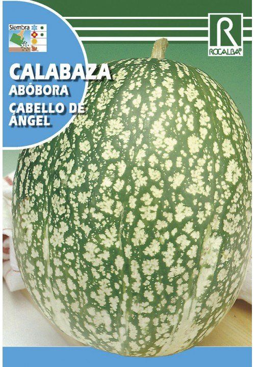 calabaza cabello de angel