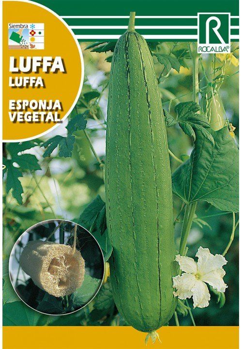 luffa