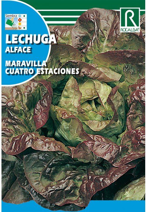 lechuga maravilla cuatro estaciones