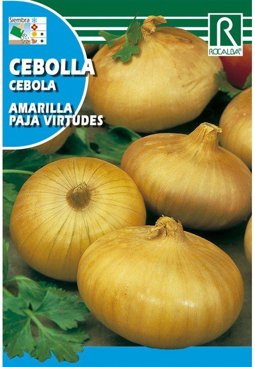 cebolla amarilla paja virtudes