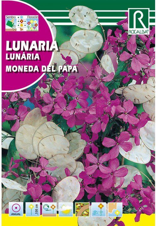 lunaria