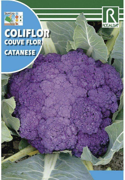 coliflor catanese