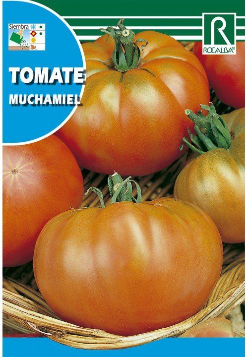 tomate-muchamiel.jpg