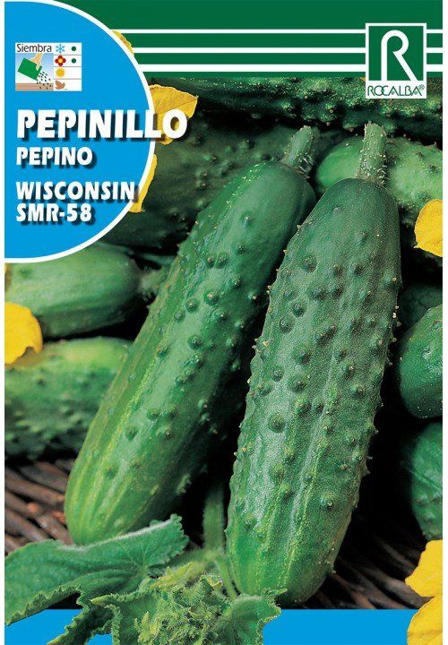 pepinillo wisconsin smr 58