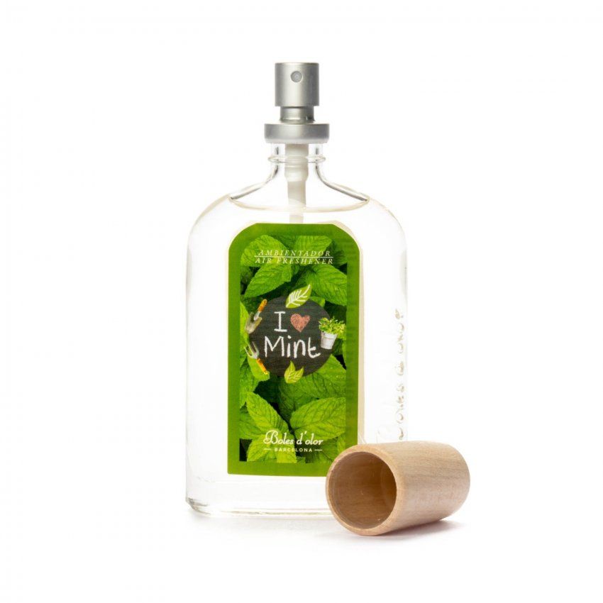 Ambientador Spray 100 Ambients   I Love Mint (0134067)