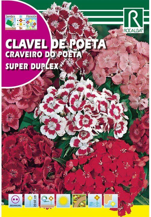 clavel del poeta