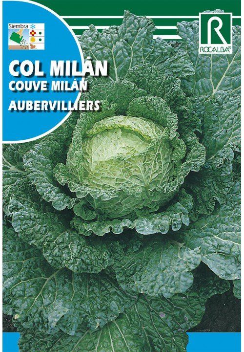 col milan aubervilliers