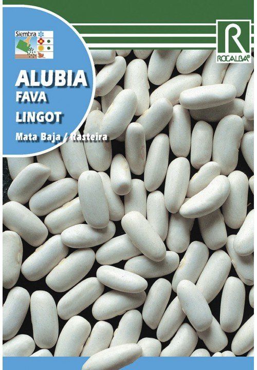 alubia lingot