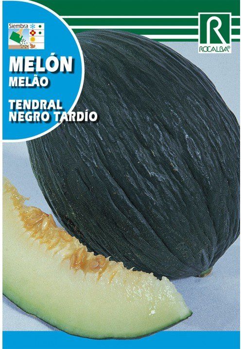 melon tendral negro tardio