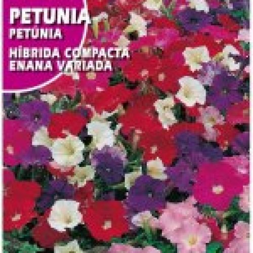 petunia (2)