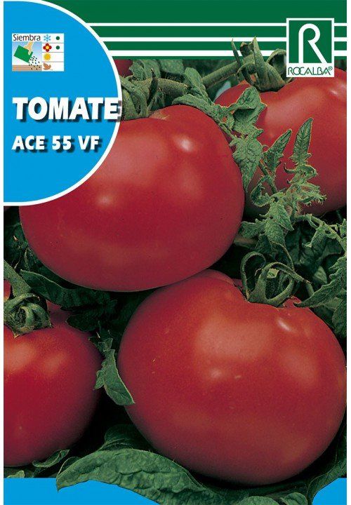 tomate ace 55 vf