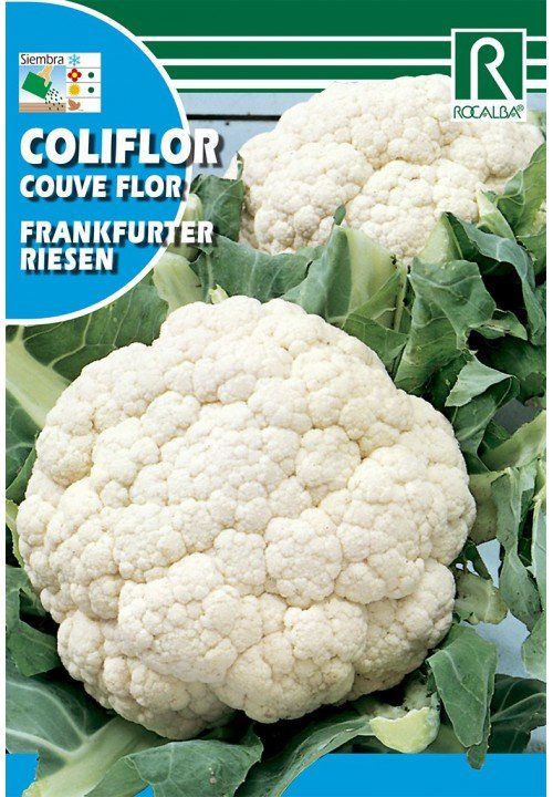 coliflor-frankfurter-riesen.jpg