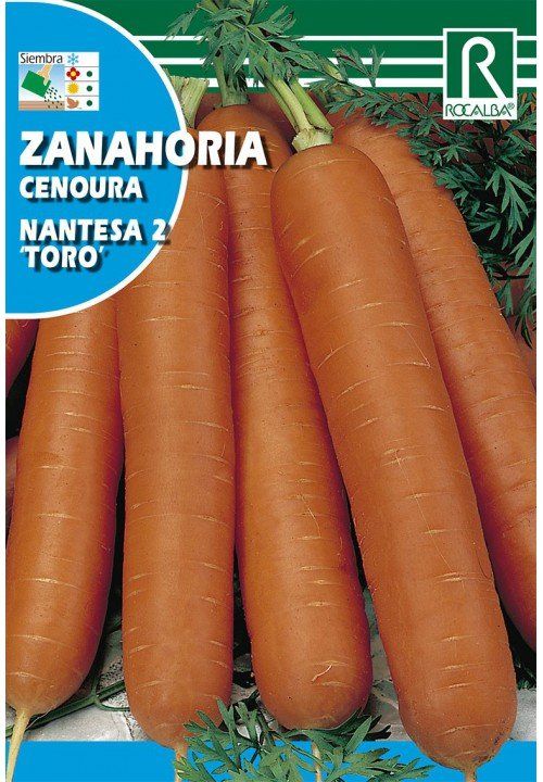 zanahoria nantesa 2 toro