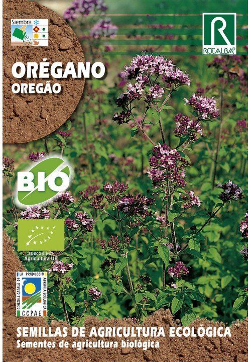 oregano