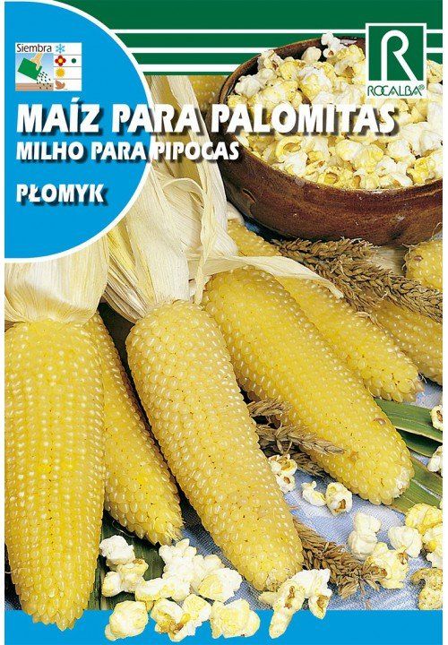 maiz para palomitas plomyk