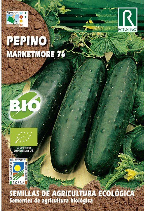 pepino