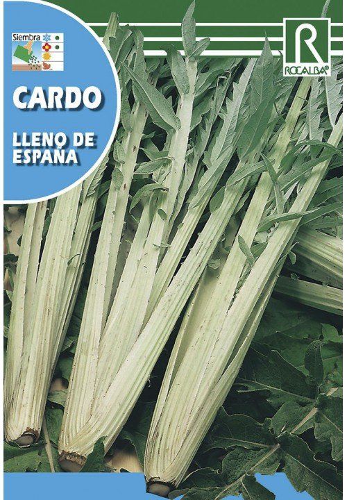 cardo lleno de espana