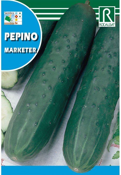 pepino marketer