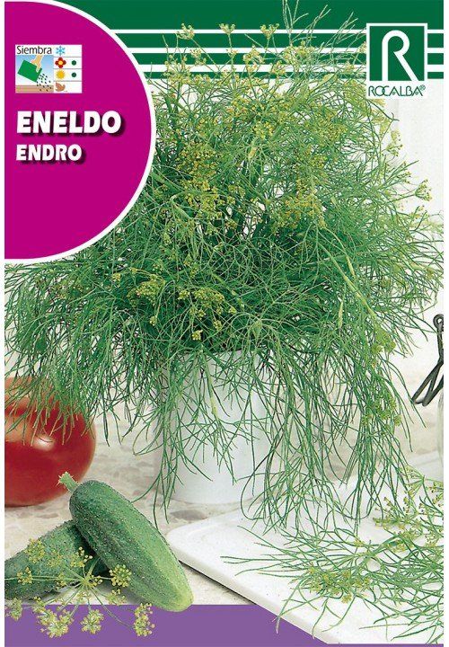 eneldo