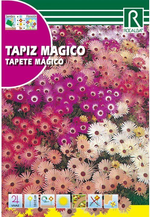 tapiz magico
