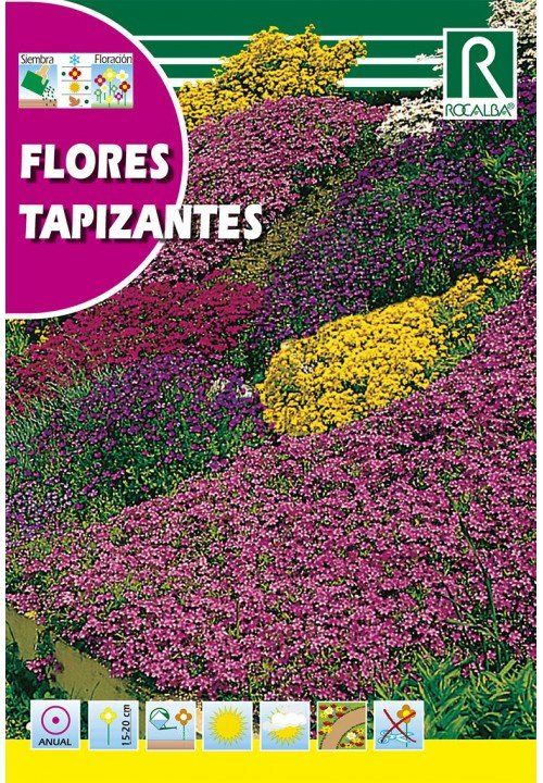 flores tapizantes