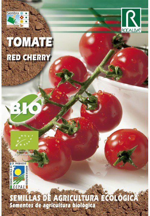 tomate (1).jpg