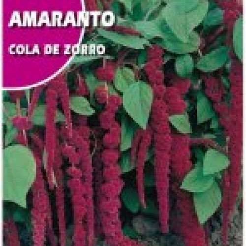 amaranto