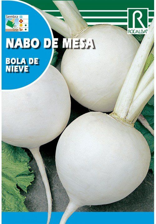 nabo de mesa bola de nieve