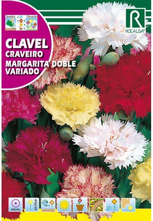 clavel (4)