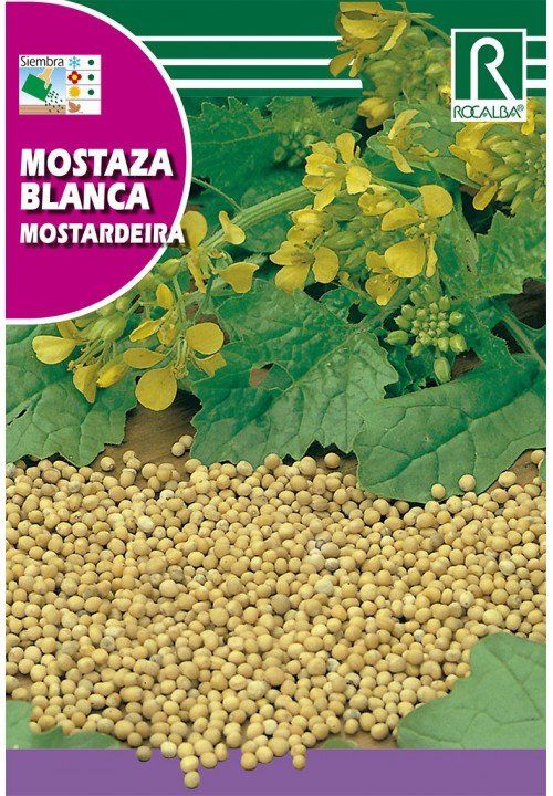 mostaza blanca