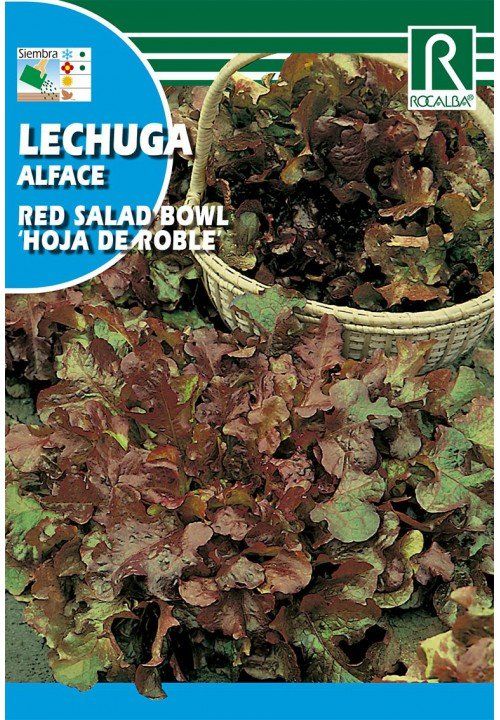 lechuga-red-salad-bowlhoja-de-roble.jpg