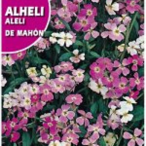 ALHELI