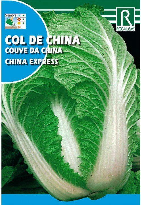 col-china-express.jpg