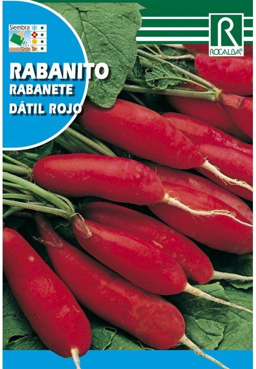 rabanito datil rojo