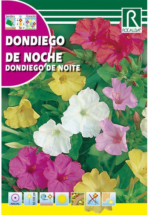 dondiego de noche