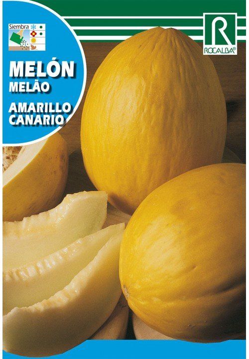 melon amarillo canario