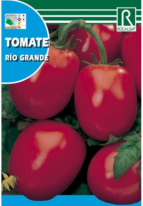 tomate rio grande