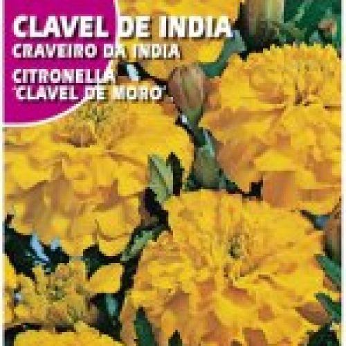 clavel de india