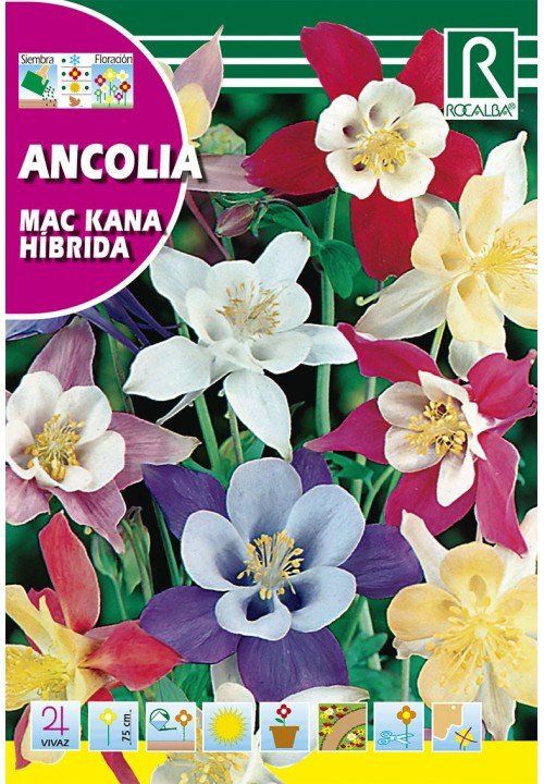 ancolia