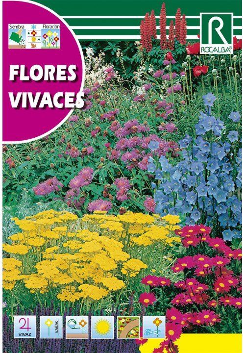 flores vivaces