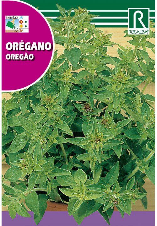 oregano