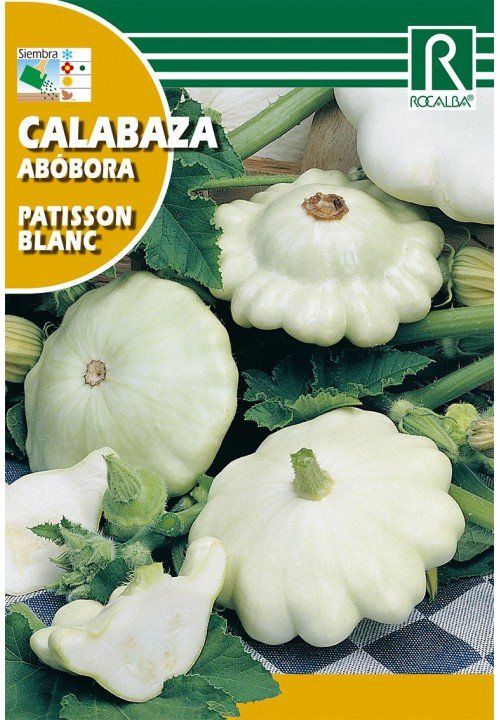 calabaza (2)