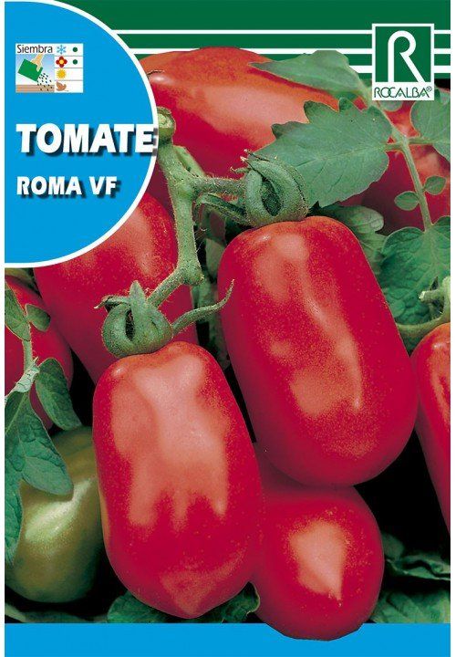 tomate-roma-vf.jpg