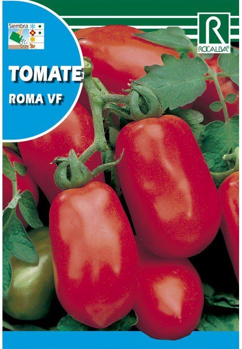 tomate roma vf