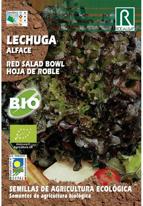 lechuga